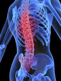 Prevent low back pain Prevent low back pain